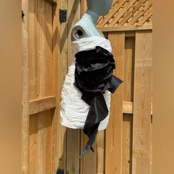 🆕 AJE 🧿 NWOT Potion Spiral Mini Dress, White / Black - Sz AU 10 US 6 - Picture 5 of 15